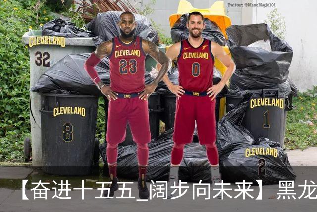 【奋进十五五 阔步向未来】黑龙江农机产业正加速迈向高端化智能化绿色化